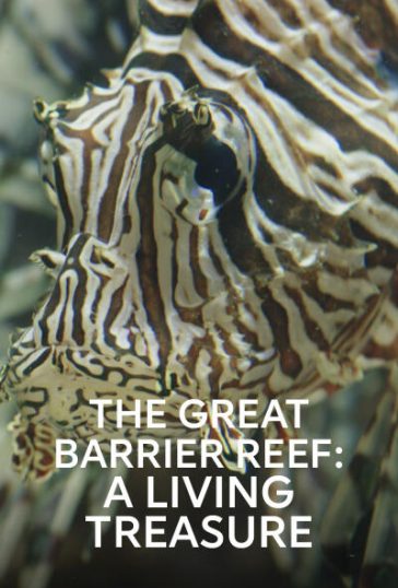 The Great Barrier Reef En levende skat
