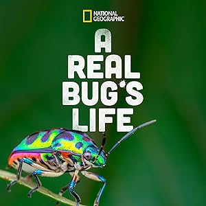 A Real Bug’s Life